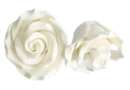Medium Classic White Icing Rose